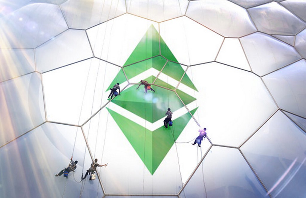 胚胎發育與關鍵節點