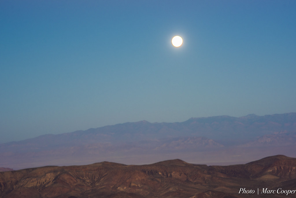 早期妊娠不適與管理